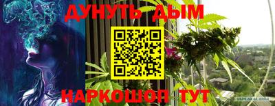 молекула духа Будённовск