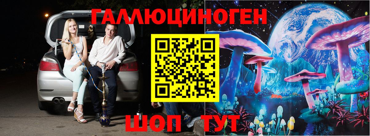 Галлюциногенные грибы Psilocybine cubensis Родники