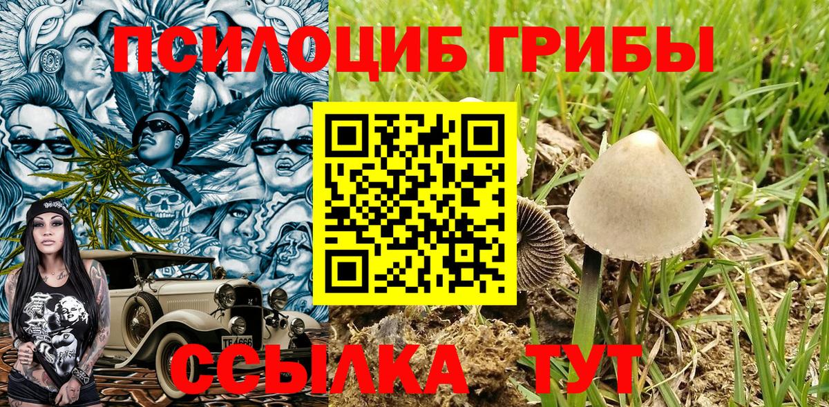Родники  Галлюциногенные грибы ЛСД  Вход с VPN  Галлюциногенные грибы Cubensis 